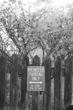 Princess Parking